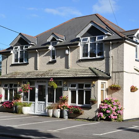 Walcot House Hotel Fawley Buitenkant foto